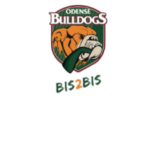 Bis2Bis netværksmøde d. 08.02.23